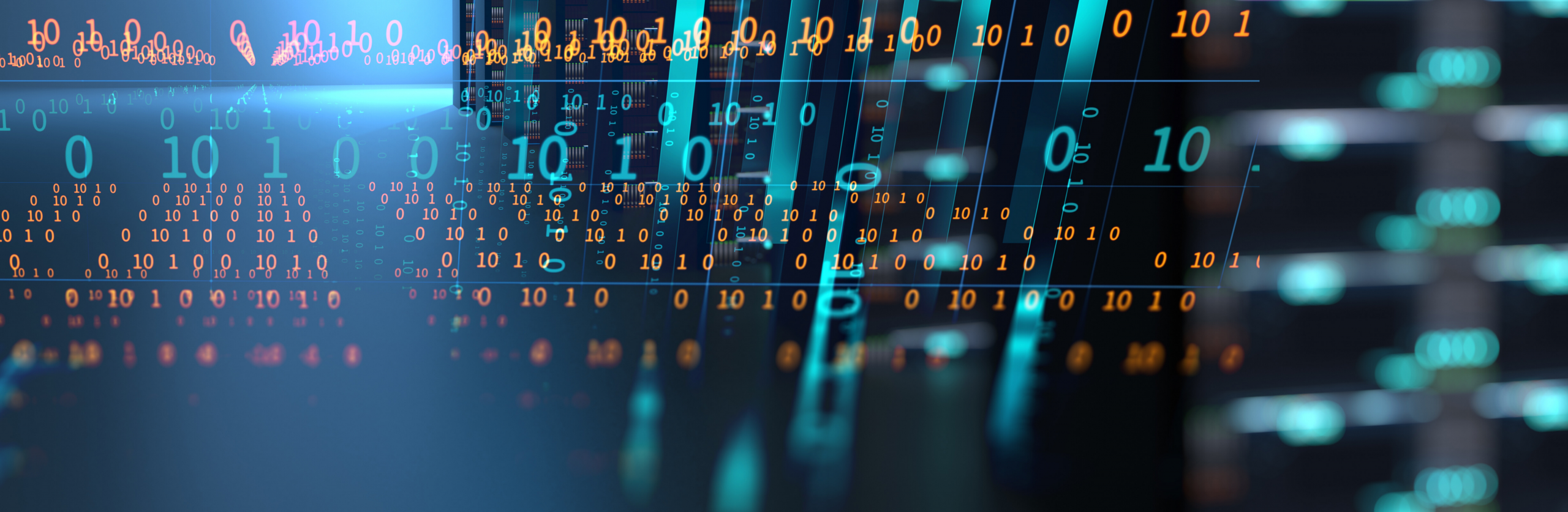 Serwis sieciowy placówek handlowych